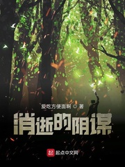 消逝的阴谋