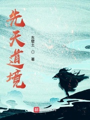 先天道境