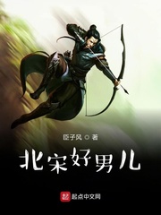 北宋好男儿