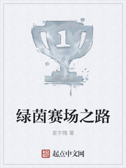 绿茵赛场之路