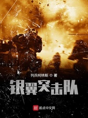银翼突击队