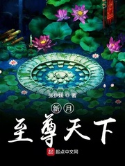 新月至尊天下