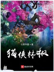 猫侠林枫