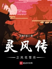 灵风传之风花雪月