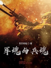 军魂与兵魂