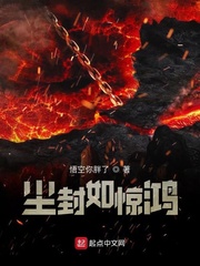 尘封如惊鸿