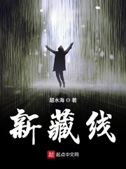 新藏线