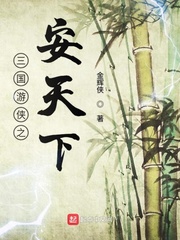 三国游侠之安天下
