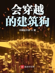 会穿越的建筑狗