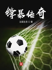 锋暴传奇