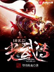 赤霄之光武传
