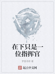 在下只是一位指挥官