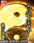 两仪宝鉴