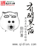 有间黑店