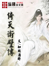 倚天卫壁传