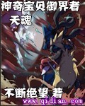 神奇宝贝御界者天魂