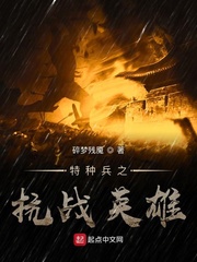 特种兵之抗战英雄