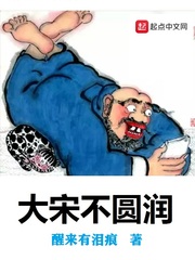 大宋不圆润