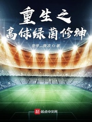 重生之高俅绿茵修神