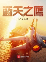 蓝天之鹰