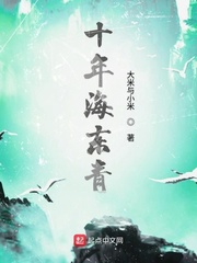 十年海东青