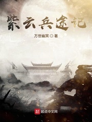 紫云兵途记