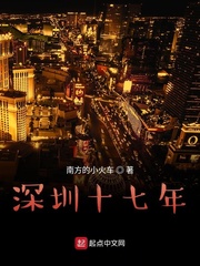 深圳十七年