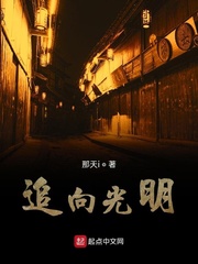 追向光明