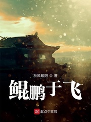 鲲鹏于飞
