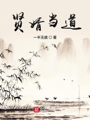 贤婿当道