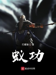 蚁功