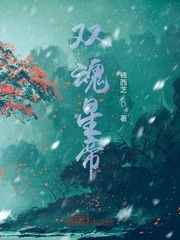 双魂星帝