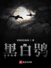 黑白鸮