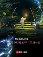 哈利波特中的魔法师与爱情公寓