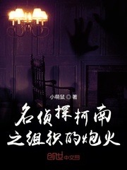 名侦探柯南之组织的炮火