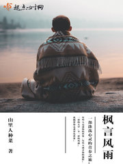 枫言风雨