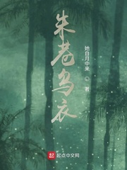 朱巷乌衣