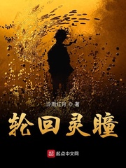 轮回灵瞳