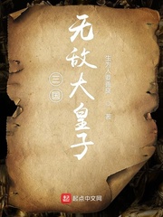 三国无敌大皇子