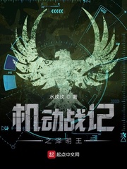 机动战记之泽明王