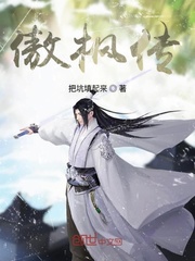 傲枫传
