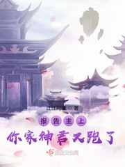 报告主上你家神君又跑了
