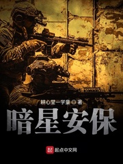 暗星安保