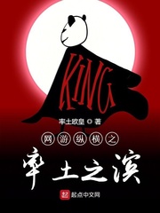 网游纵横之率土之滨