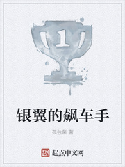 银翼的飙车手