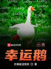 一只幸运鹅