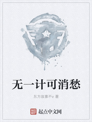无一计可消愁