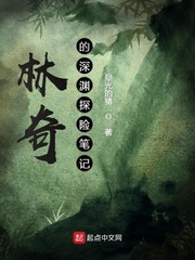 林奇的深渊探险笔记