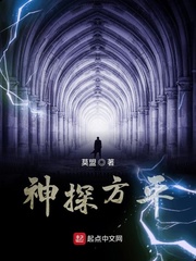神探方平