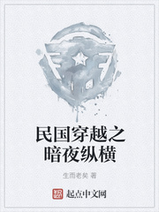 民国穿越之暗夜纵横